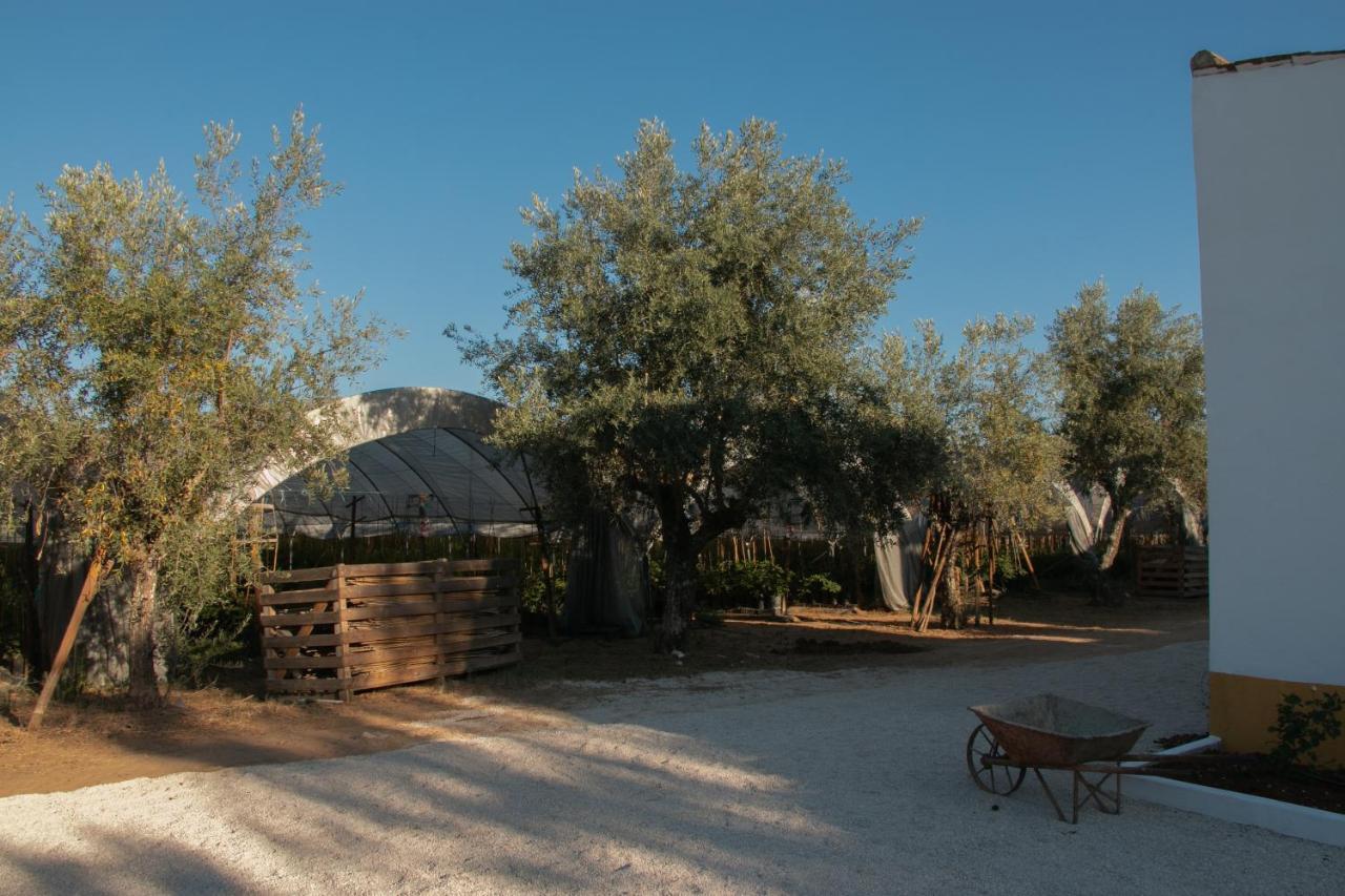 Quinta De Santana Da Varzea Abrantes Zewnętrze zdjęcie