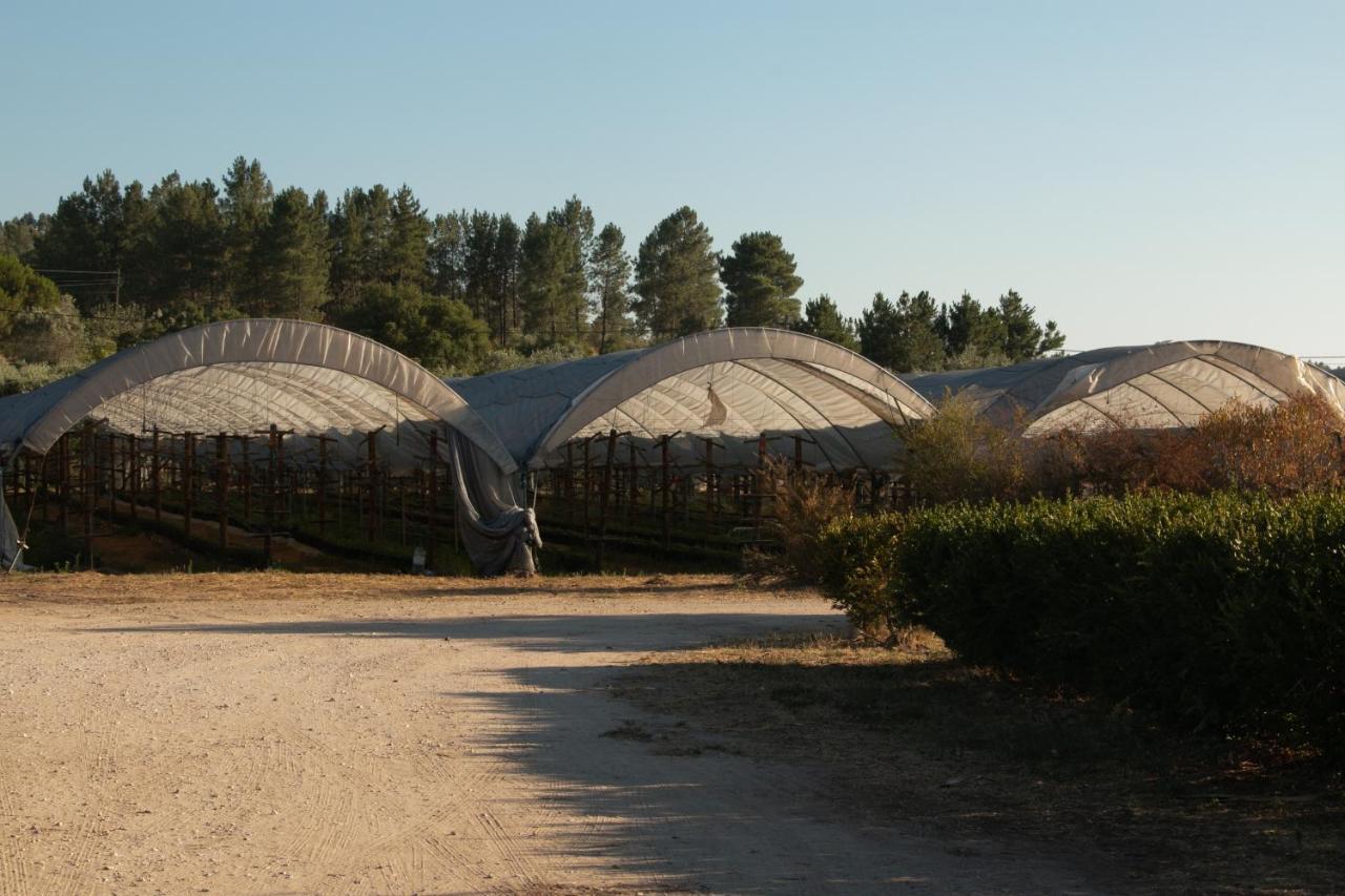 Quinta De Santana Da Varzea Abrantes Zewnętrze zdjęcie
