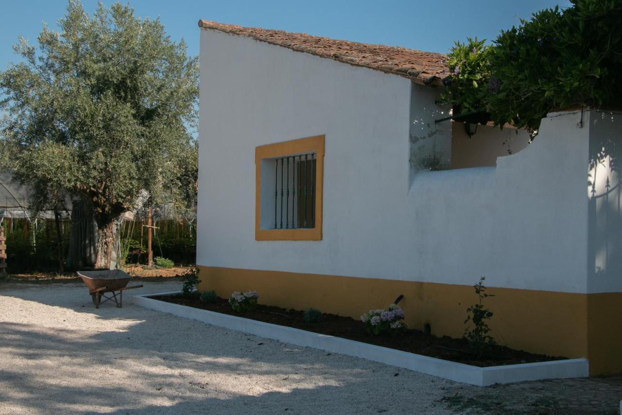 Quinta De Santana Da Varzea Abrantes Zewnętrze zdjęcie