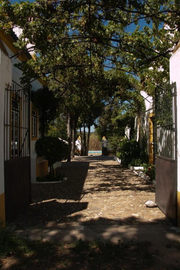 Quinta De Santana Da Varzea Abrantes Zewnętrze zdjęcie