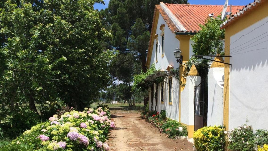 Quinta De Santana Da Varzea Abrantes Zewnętrze zdjęcie